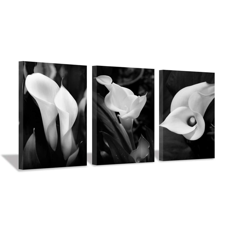 Hardy Gallery Floral Artwork Flower Painting Picture: Calla-Lily Print on Canvas Set for Wall Art (16â€x12â€x3pcs) - Image 1